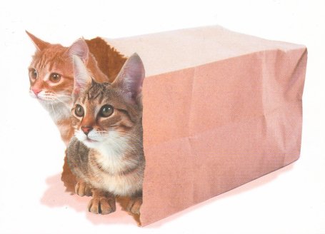 In the sack together