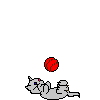 Kitten playing with ball